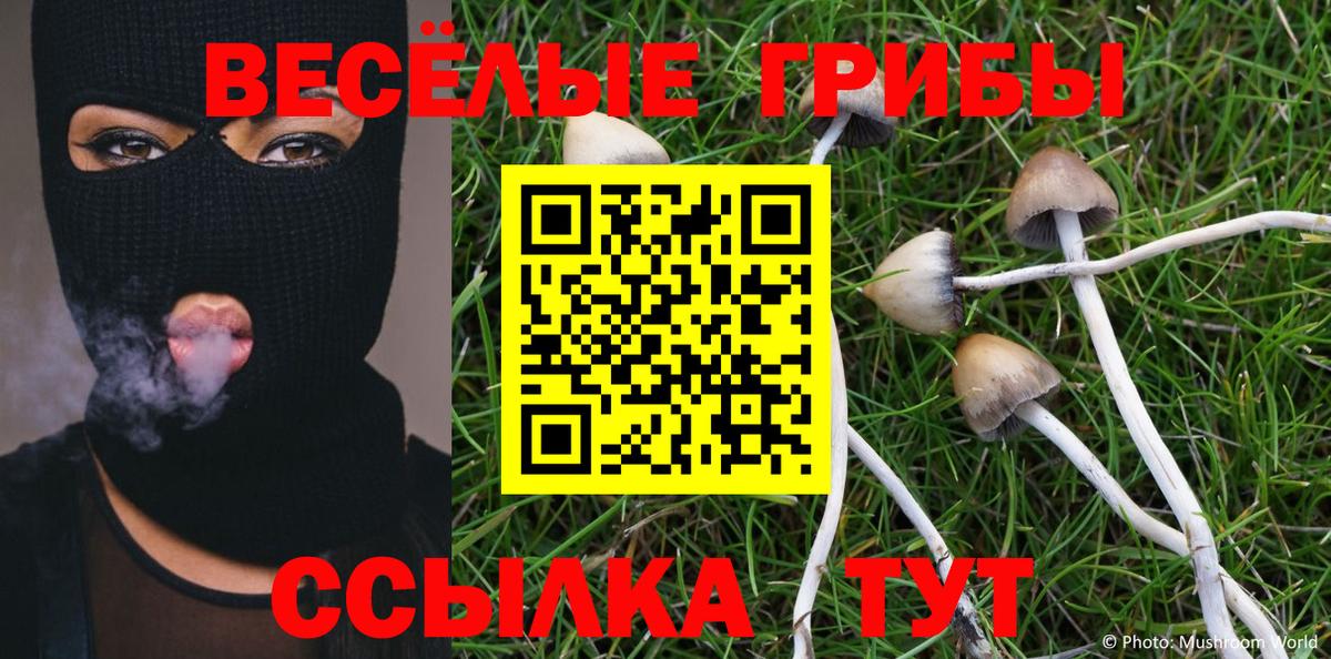 Псилоцибиновые грибы Psilocybine cubensis Орехово-Зуево